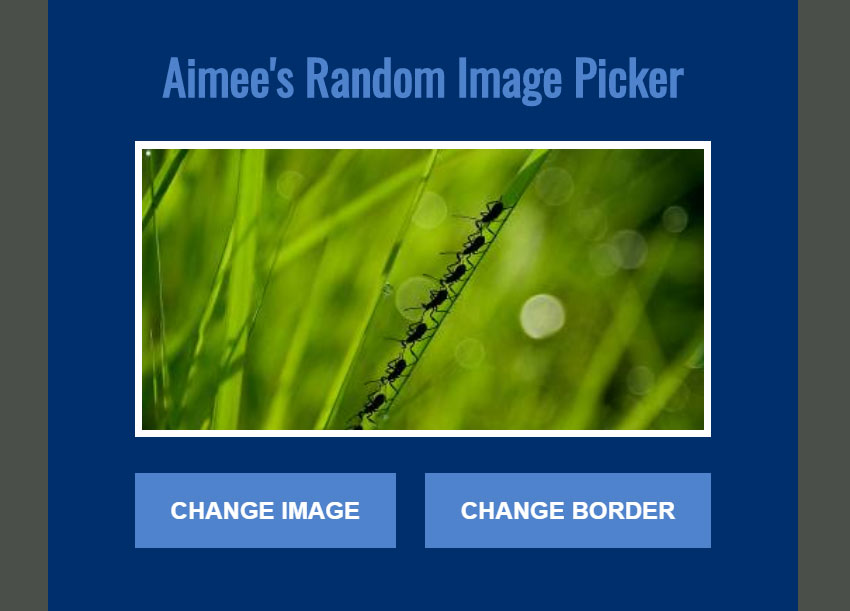 Random Image Picker